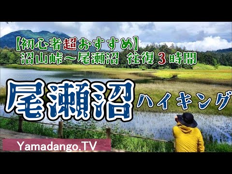 【尾瀬沼ハイキング】～初心者超おすすめハイキング～　沼山峠から尾瀬沼までの往復３時間お手軽コース　壮大な大江湿原と美しい尾瀬沼　そして奥にそびえる燧ヶ岳