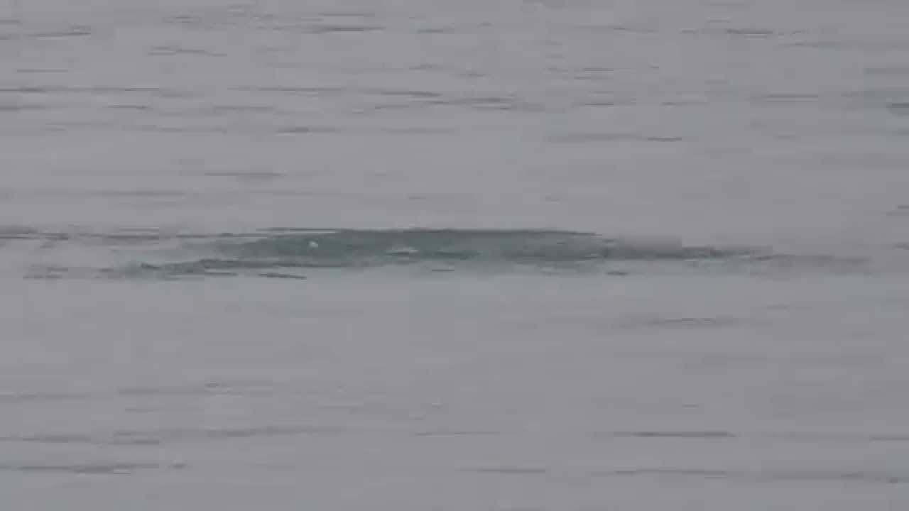 ルアーアングラー必見 ナブラの映像です 釣太郎ブログ