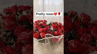 Roses Are Colorful love usa philippines food funny viralshorts shorts
