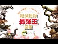 絶滅動物最強王図鑑ＤＸワイド版