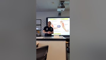 AQA GCSE PE - Muscles contractions