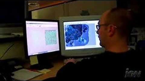 Warhawk The Cell Processor