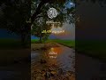 Surah Al-Anfal