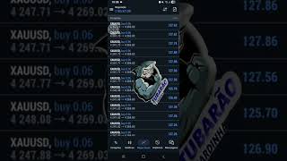 Tradingfx forex free signals