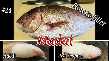 How to fillet "Tai" Red Snapper by Japanese knife / Aged a week and deblood the fish