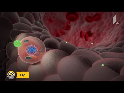 #ახალიდღე პირველი დეკემბერი შიდსთან ბრძოლის საერთაშორისო დღეა