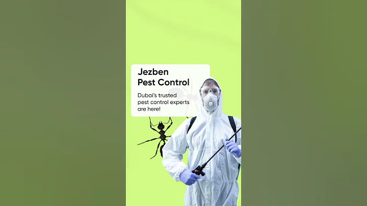 We provide the best pest control services in Dubai