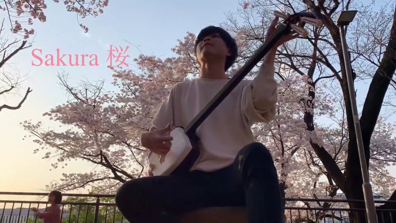 三味線弾き逃げ Cherry Blossom And Shamisen 2 じょんがら節 岩田桃楠 Youtube 三味線弾き逃げ Cherry Blossom And Shamisen 2 じょんがら節 岩田桃楠 Youtube