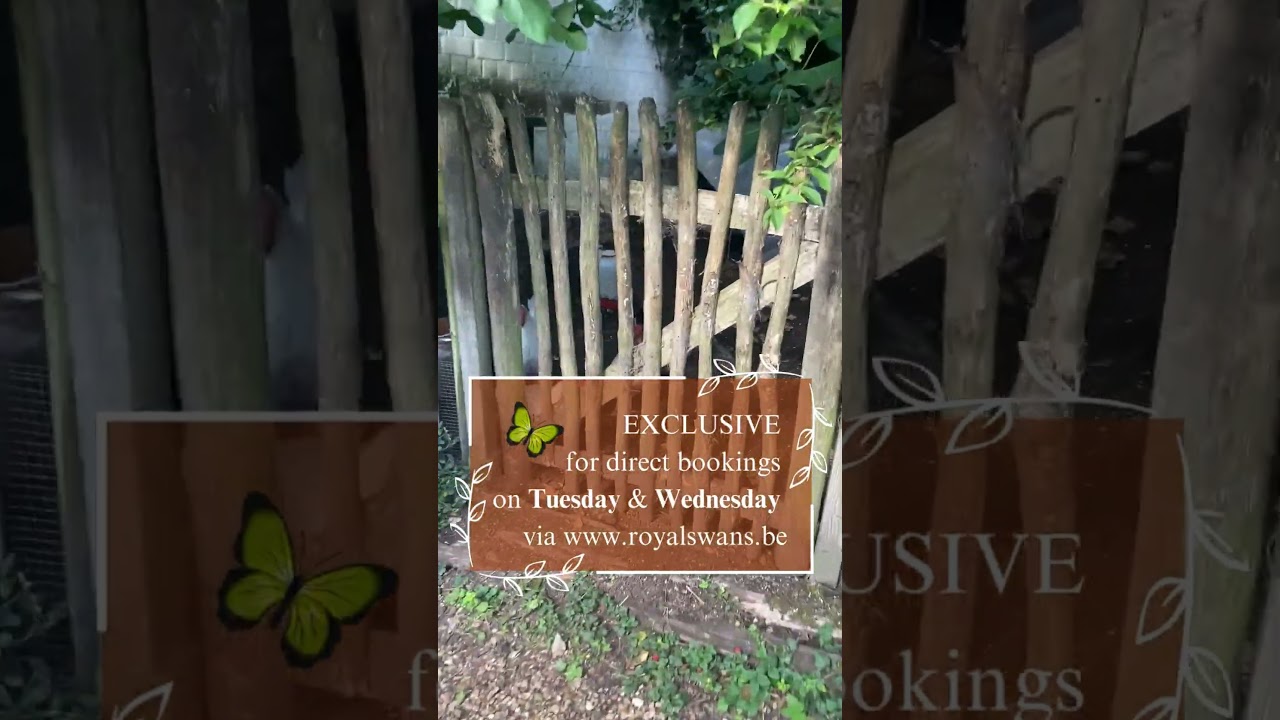 Secret Garden Breakfast at B&B Royal Swans | Peaceful Breakfast in Bruges