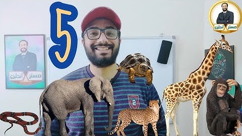 الصف الخامس 〡Time for English 5 〡شرح الوحدة الثامنة الدرسين الأول و الثاني