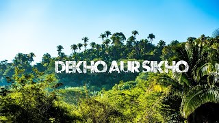 jungle photo editing screenshot 3