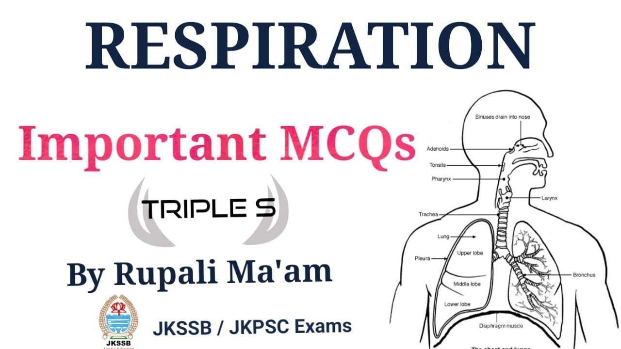Respiration Important MCQs by Rupali Ma'am for JKSSB Exams YouTube