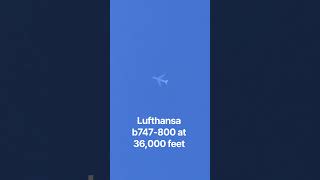 Lufthansa b747-800 at 36K feet #aviation #planespotting #fyp #viral #feedshorts #lufthansa