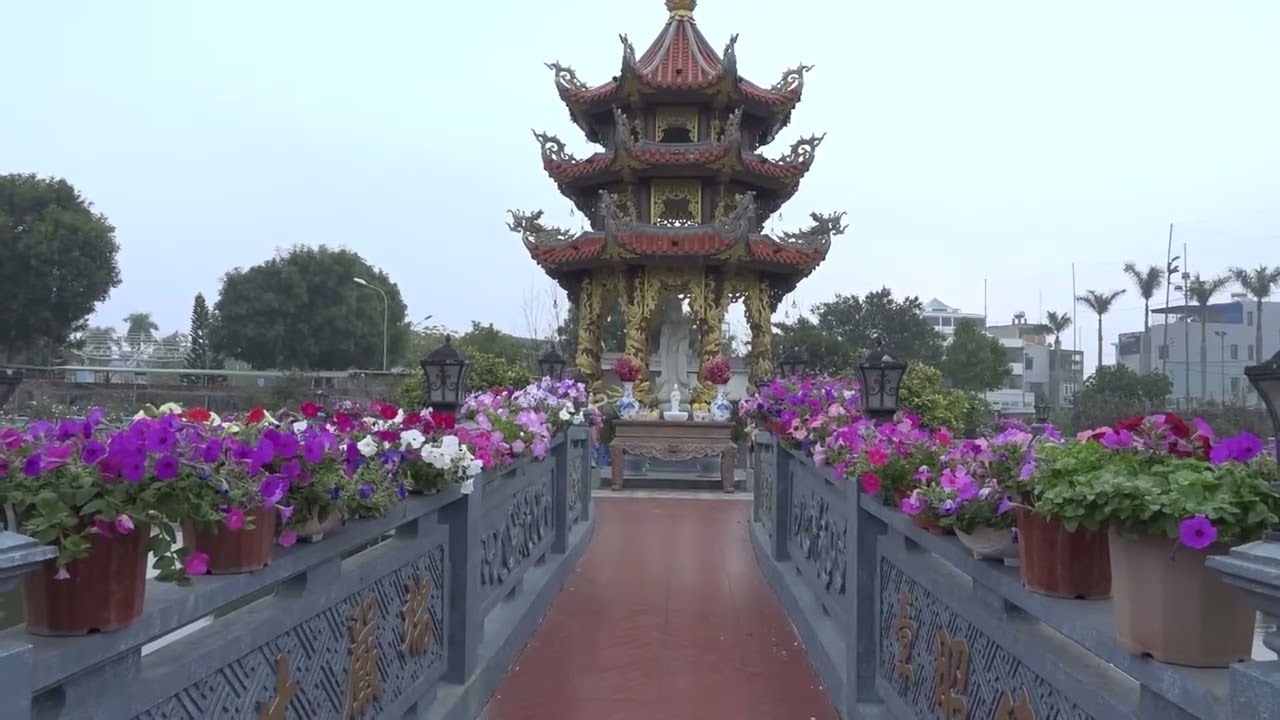 Tang lễ ni sư Thích Diệu Toàn Trụ thế 58 tuổi - 