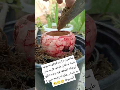 تغيير سندانه دمعة الطفل مقزم