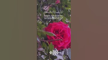 قران كريم ارح سمعك وقلبك #explore #اكسبلور #قران_كريم #الا_بذكر_الله_تطمئن_القلوب #خديجة_قطيشات