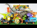 Jurassic World Toys Unboxing Asmr Colorful Dinosaur Giant Mamenchisaurus T-rex Velociraptors