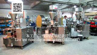 SR-6 Automatic Spring Roll Making Machine Wealth