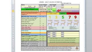 How many calories does my dog need?