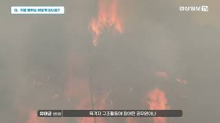 재난 경험자의 심리적 안정을 돕는 #재난심리회복지원센터