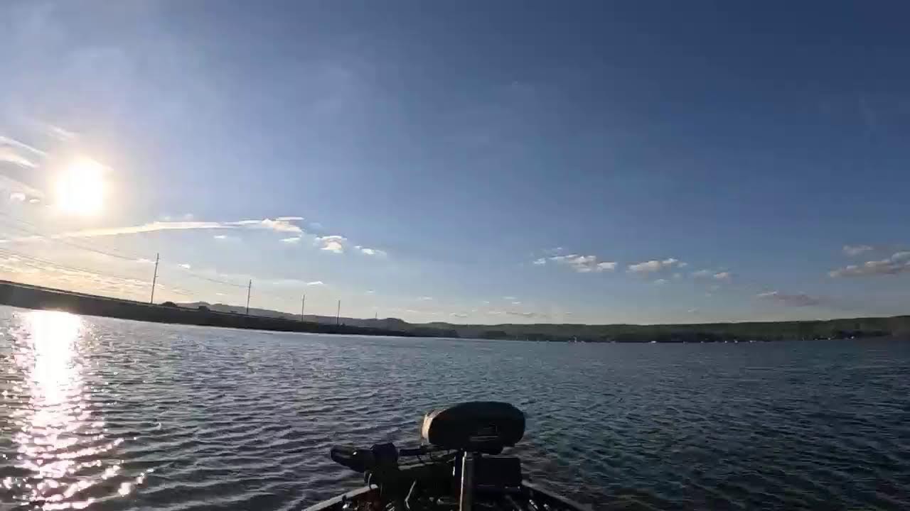 Live Bass fishing