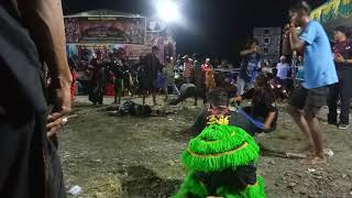 Sholawat vs kuda lumping....