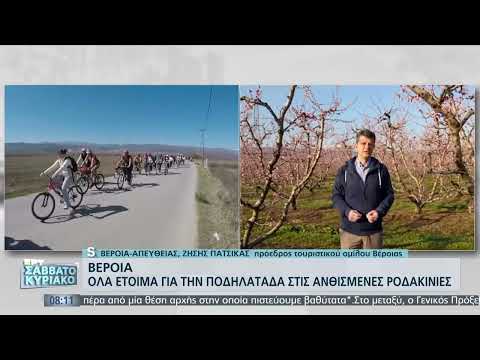 Οι ανθισμένες ροδακινιές