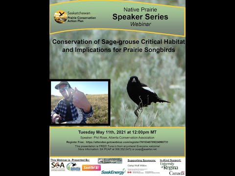 Conservation of Sage grouse Critical Habitat and Implications for Prairie Songbirds