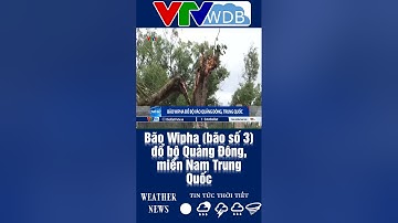 Bão Wipha (bão số 3) đổ bộ Quảng Đông, miền Nam Trung Quốc | VTVWDB