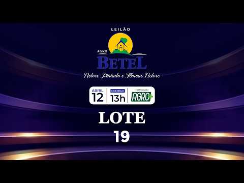 LOTE 19