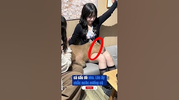 vì sao cá sấu không ăn capybara #dongvathoangda #capybara #shorts