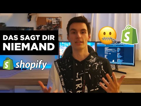 DAS hätte ich gerne gewusst als ich Shopify Dropshipping startete...(Steuern & co) ?