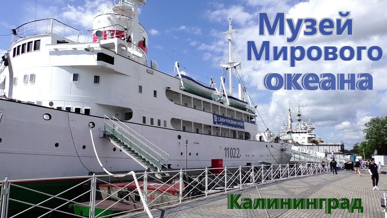 Музей Мирового Океана В Калининграде Купить Билет