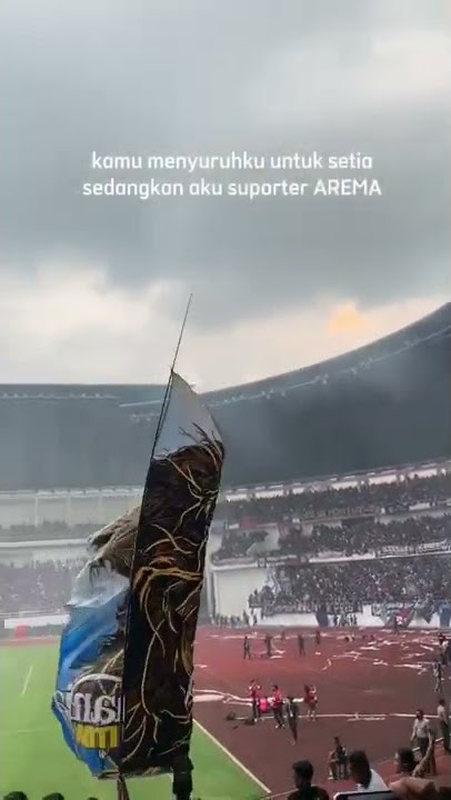 Story wa kata-kata aremania!! #arema #shorts