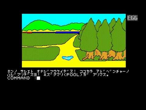 動画