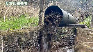 溜池からの用水路に水を通す。落ち葉と共に