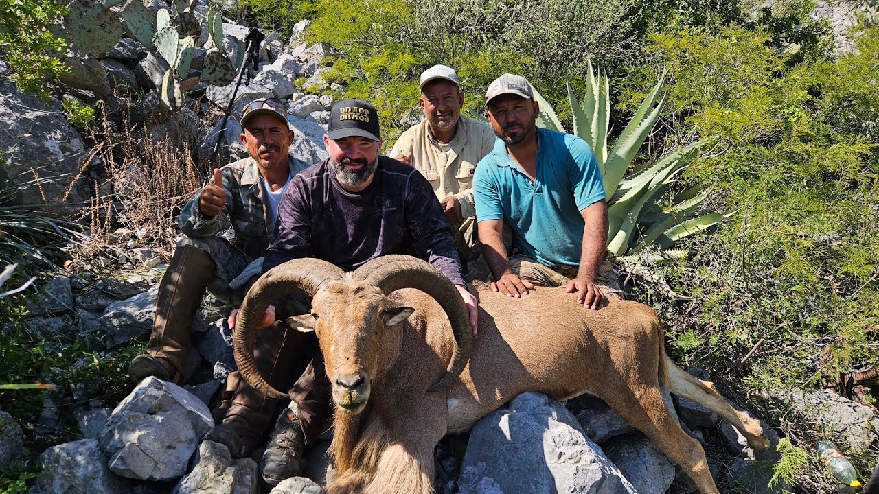 Cacería de Borrego Berberisco en el Ejido Agua de la Herradura Hermanas Coahuila 