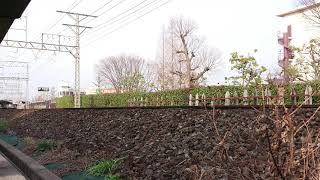 近鉄12200系◆NS33🍊編成 吉野連絡・橿原神宮前ゆき特急