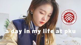 Day in the Life of a University Student | Exam Week | Peking University | Beijing Vlog