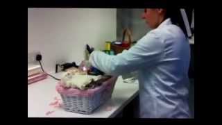 Basket Assembly