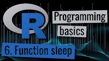 R programming - System sleep function