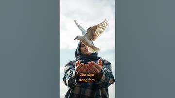 Buông Bỏ Trong Phật Giáo: Hạnh Phúc Khi Không Chấp Trước