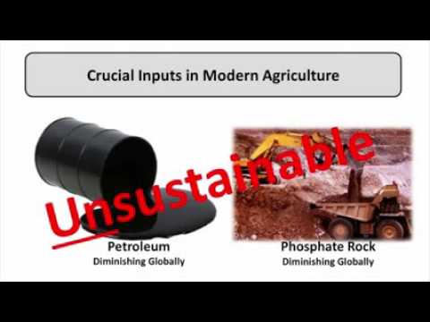 NEWS! Modern agriculture characteristics and challenges youtube - YouTube