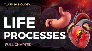 Class 10 Science | Life Processes | Short & Smart Animated Video 🚀✨
