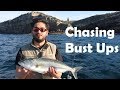 Outdoor Adventure Show - Fishing Bust Ups in Sydney Harbour