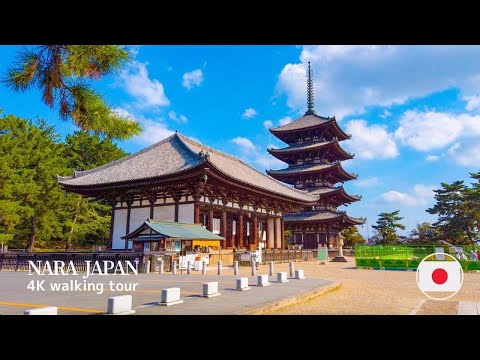 🇯🇵 Traditional Japanese City Trip in Nara 奈良県