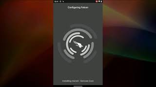 Installing Falcon for Mobile on Android Devices screenshot 4