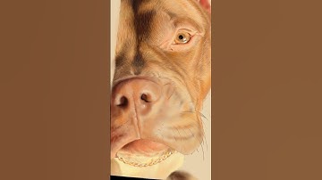 Drawing with Infinite Painter