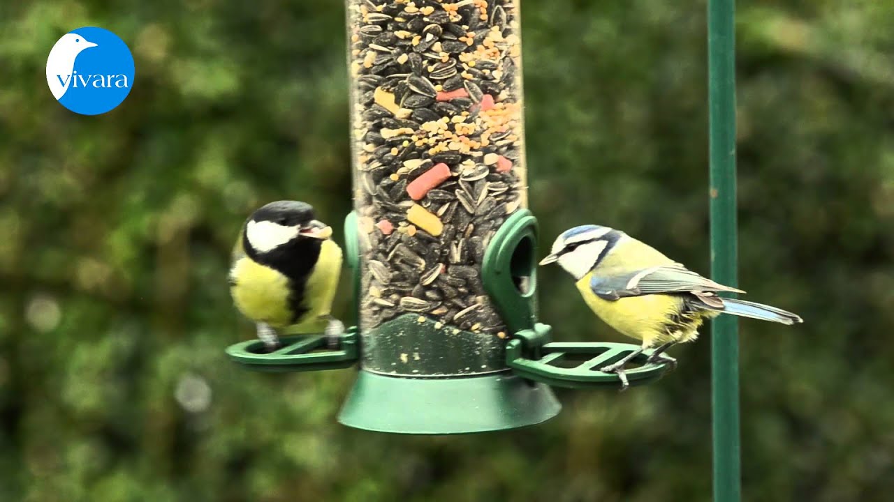 Gartenvögel an Vivara Kunststoff-Futtersäule