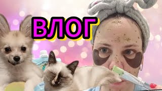 : VLOG :   / /   /